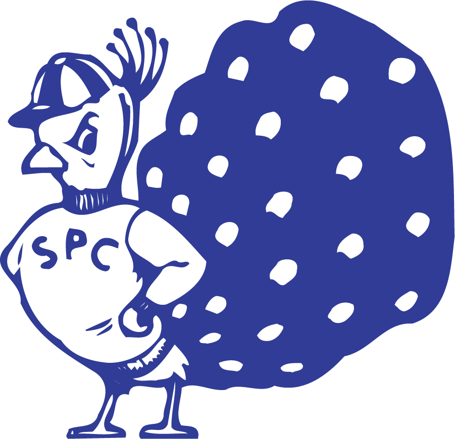 St. Peters Peacocks 1982-2003 primary logo diy iron on heat transfer